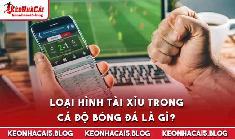 Loại hình tài xỉu trong cá độ bóng đá là gì?